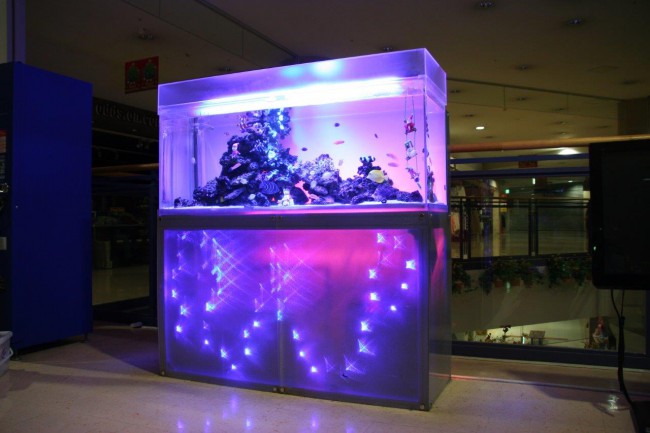 ファボーレ（verXmas）