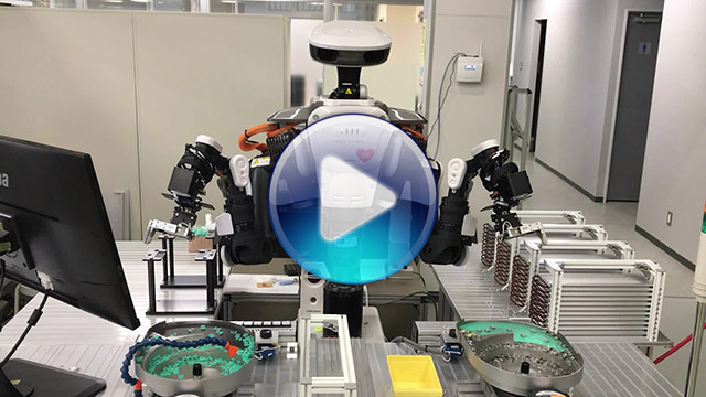 ねっくん動画ボタン